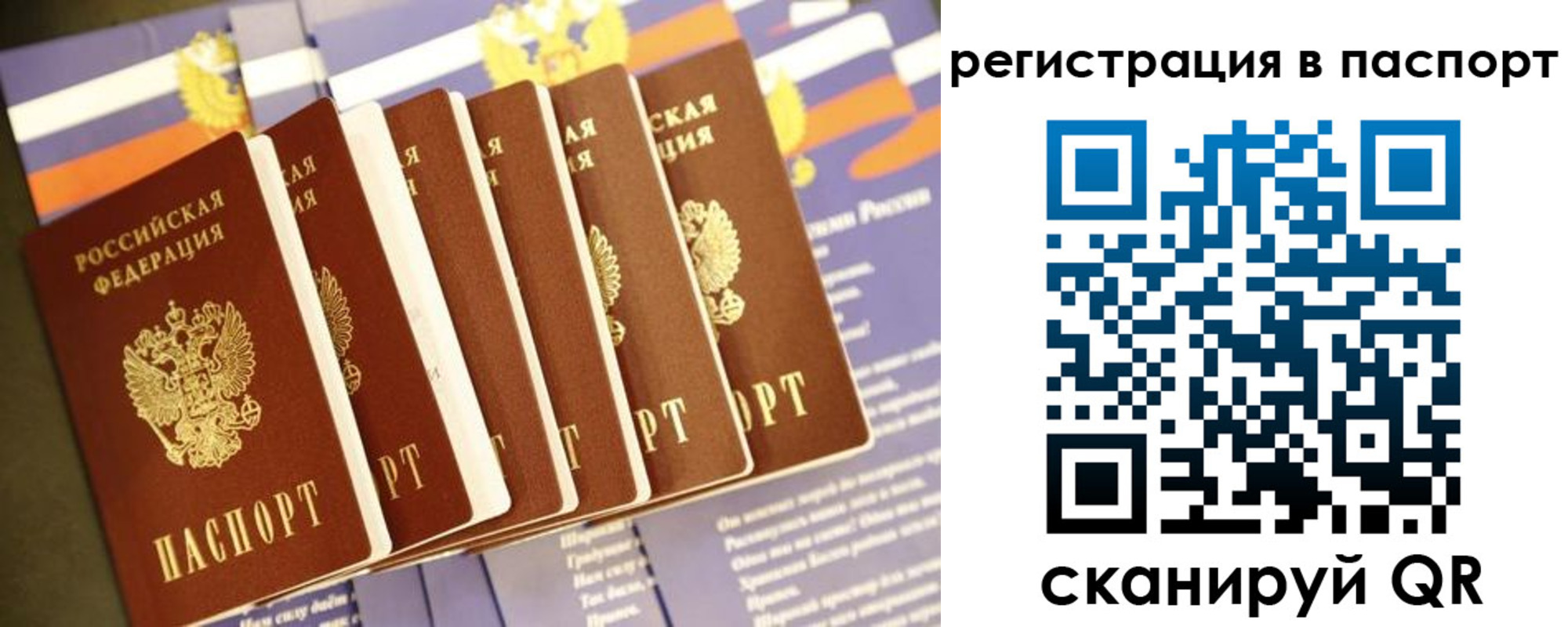 прописка ребенка в Елизово